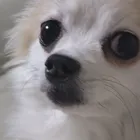 ユーザー画像