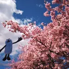 ユーザー画像