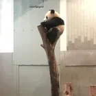 ユーザー画像