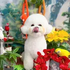 ユーザー画像