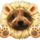 ユーザー画像