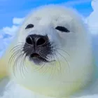 ユーザー画像