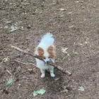 ユーザー画像