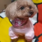 ユーザー画像
