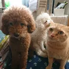 ユーザー画像