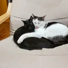 ユーザー画像