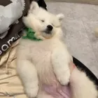 ユーザー画像