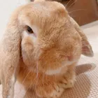 ユーザー画像