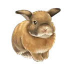 ユーザー画像