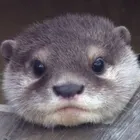 ユーザー画像