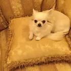 ユーザー画像