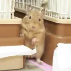 ユーザー画像