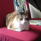 ユーザー画像