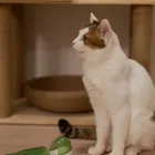 ユーザー画像