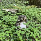 ユーザー画像