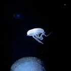ユーザー画像