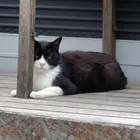 ユーザー画像