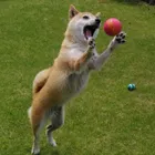 ユーザー画像