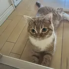 ユーザー画像