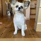 ユーザー画像