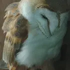 ユーザー画像