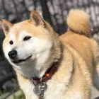 ユーザー画像