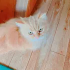 ユーザー画像