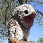 ユーザー画像