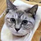 ユーザー画像