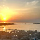 ユーザー画像
