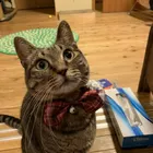 ユーザー画像