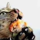 ユーザー画像