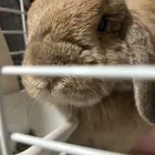 ユーザー画像