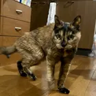 ふくママ