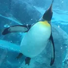 ユーザー画像