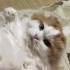 ユーザー画像