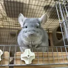 ユーザー画像