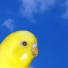 ユーザー画像