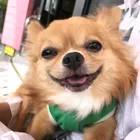 ユーザー画像