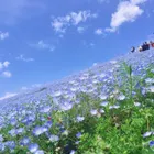 ユーザー画像