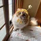 ユーザー画像