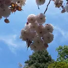 ユーザー画像