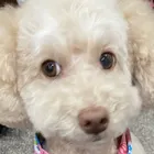 ユーザー画像