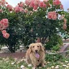 ユーザー画像