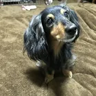 ユーザー画像