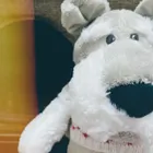 ユーザー画像