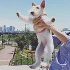 ユーザー画像