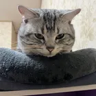 ユーザー画像