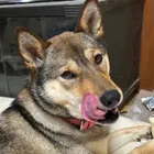 ユーザー画像