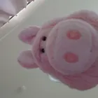 しぼちゃん